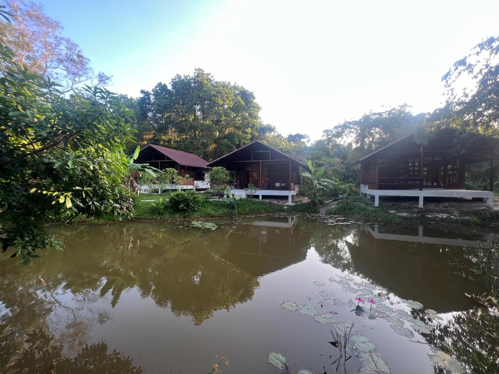 Phayam Valley Homestay Koh Phayam Eksteriør billede