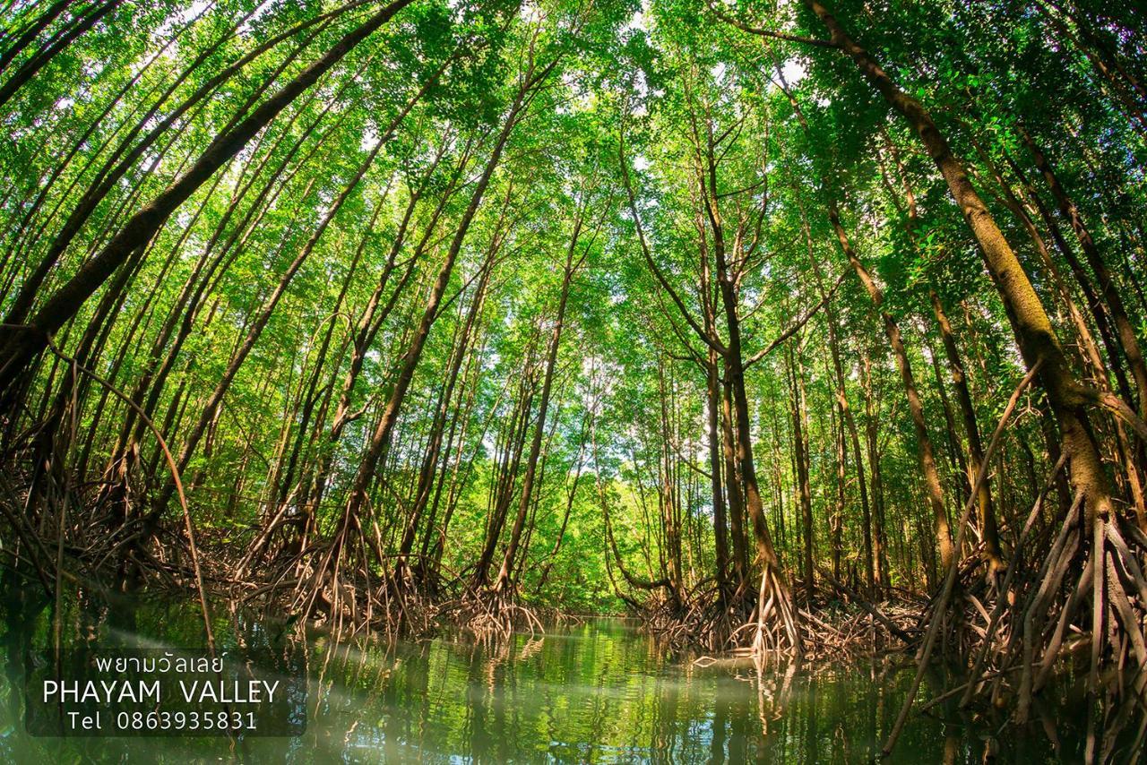 Phayam Valley Homestay Koh Phayam Eksteriør billede