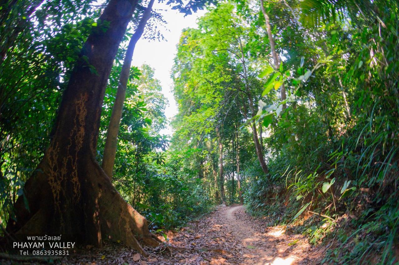 Phayam Valley Homestay Koh Phayam Eksteriør billede